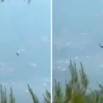 Colisão de helicópteros em combate a incêndio na Grécia resulta em mortes