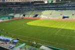Confronto decisivo no Brasileirão: Palmeiras e Vasco se enfrentam em busca de objetivos distintos