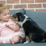 Convívio com cães pode reduzir uso de antibióticos em bebês, aponta estudo