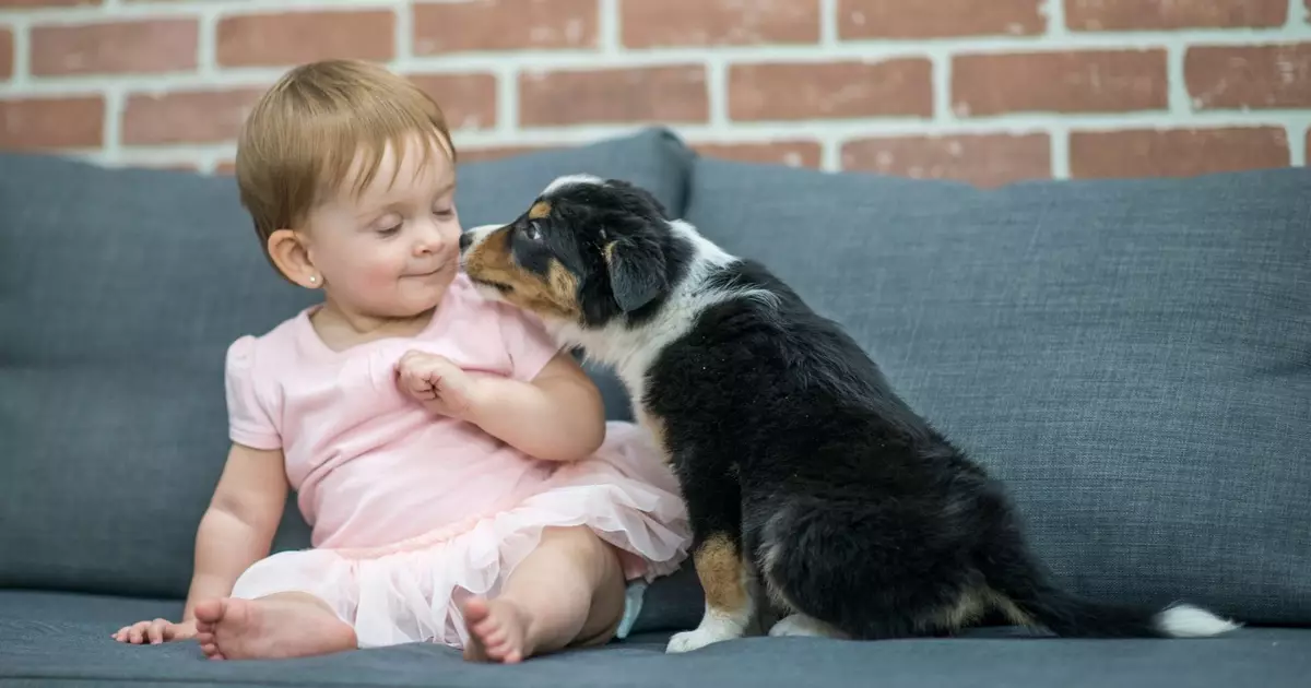 Convívio com cães pode reduzir uso de antibióticos em bebês, aponta estudo