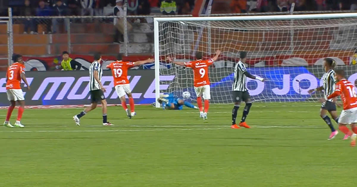 Críticas à gestão da arbitragem brasileira marcam momento do Botafogo