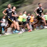 Cúpula da SAF define os critérios para a sucessão no comando técnico do Botafogo