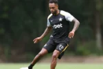Danilo Pereira ganha espaço no Botafogo para o clássico contra o Fluminense