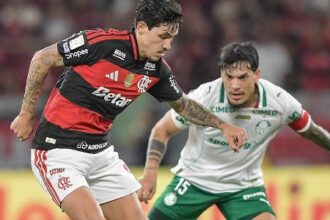 Domínio de Palmeiras e Flamengo no Brasileirão gera comparações recorrentes