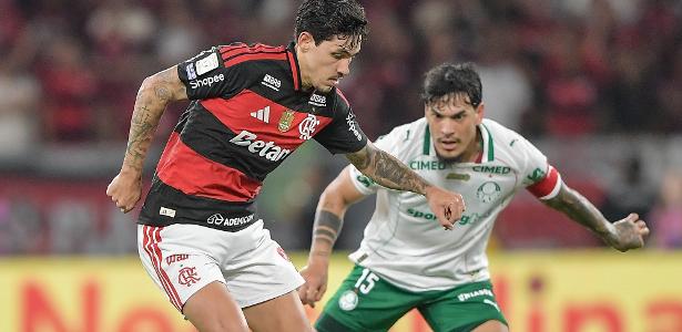 Domínio de Palmeiras e Flamengo no Brasileirão gera comparações recorrentes