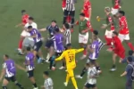 Eliminação do Botafogo na Sul-americana é marcada por tumulto generalizado