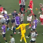 Eliminação do Botafogo na Sul-americana é marcada por tumulto generalizado