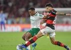Flamengo contesta arbitragem e aponta suposto favorecimento ao Palmeiras