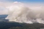 Incêndio florestal histórico na Bélgica força evacuações e mobiliza ajuda internacional