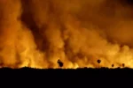 Incêndios florestais: as diferenças críticas entre o cenário brasileiro e o europeu