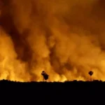 Incêndios florestais: as diferenças críticas entre o cenário brasileiro e o europeu