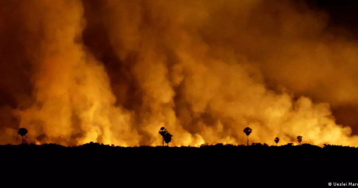 Incêndios florestais: as diferenças críticas entre o cenário brasileiro e o europeu