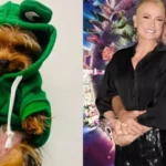 Junno Andrade e Xuxa lamentam a morte do cachorro Theozinho