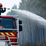 Monoculturas florestais potencializam megaincêndios na Europa