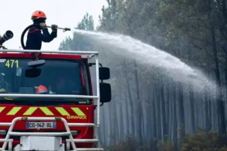 Monoculturas florestais potencializam megaincêndios na Europa