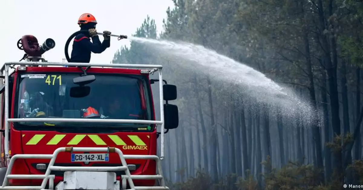 Monoculturas florestais potencializam megaincêndios na Europa