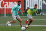 Palmeiras finaliza preparação estratégica para confronto decisivo contra o Cerro Porteño