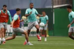 Palmeiras finaliza preparação para confronto decisivo na Copa do Brasil