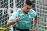 Paulinho segue em tratamento e desfalca Palmeiras no clássico contra o Santos