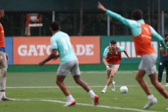 Piquerez celebra marca histórica no Palmeiras após superar lesão no tornozelo