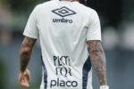 Santos encerra preparação no gramado antes de confronto decisivo contra o Vasco