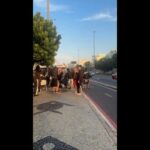 Torcida do Olimpia ocupa orla da Barra da Tijuca antes de confronto com o Vasco