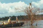 A operação Mymba Kuéra: o monumental resgate de milhares de animais na construção de Itaipu