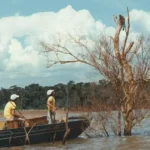 A operação Mymba Kuéra: o monumental resgate de milhares de animais na construção de Itaipu