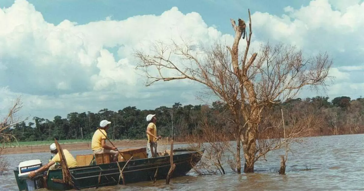 A operação Mymba Kuéra: o monumental resgate de milhares de animais na construção de Itaipu