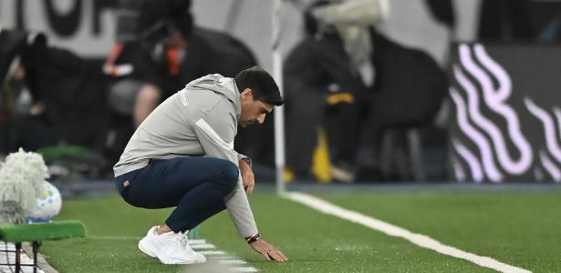 Abel Ferreira enfrenta desgaste com torcida após declaração polêmica