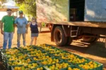 Agricultura de Sidrolândia lidera Ceasa-ms com suporte logístico ao pequeno produtor