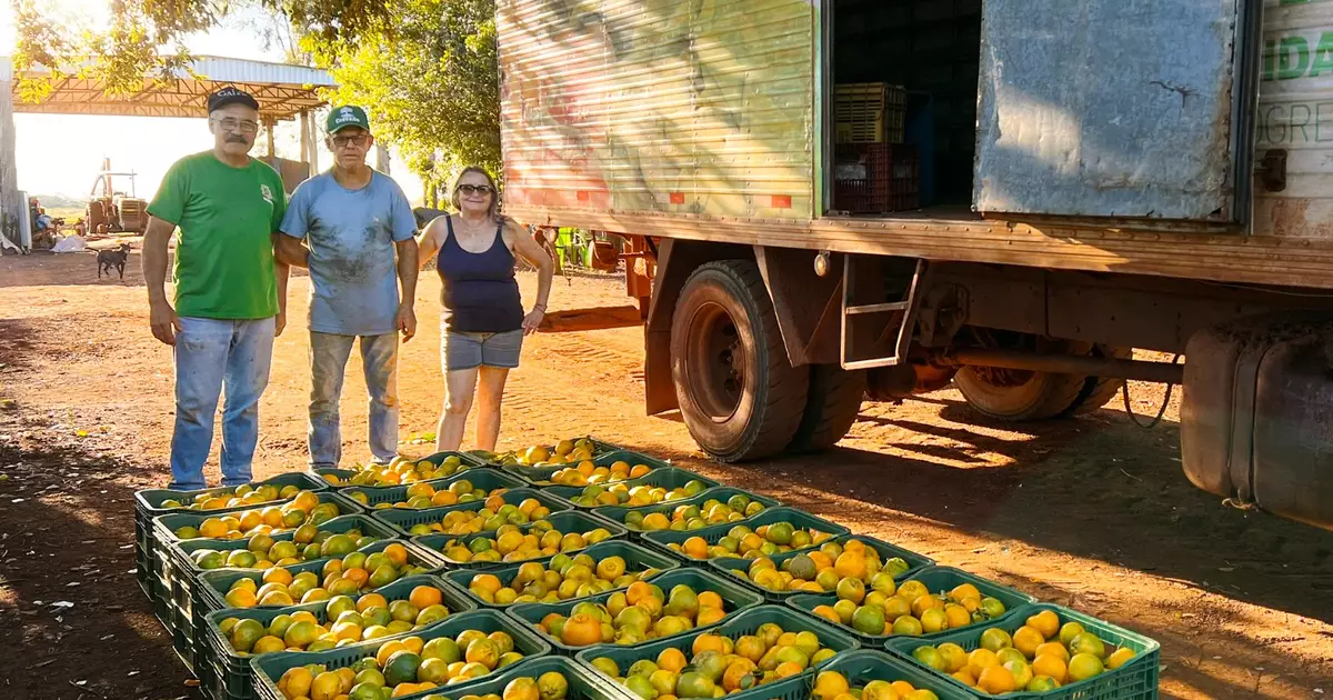 Agricultura de Sidrolândia lidera Ceasa-ms com suporte logístico ao pequeno produtor