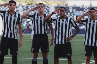 Botafogo busca captar R$ 12 milhões em incentivos fiscais para fortalecer categorias de base