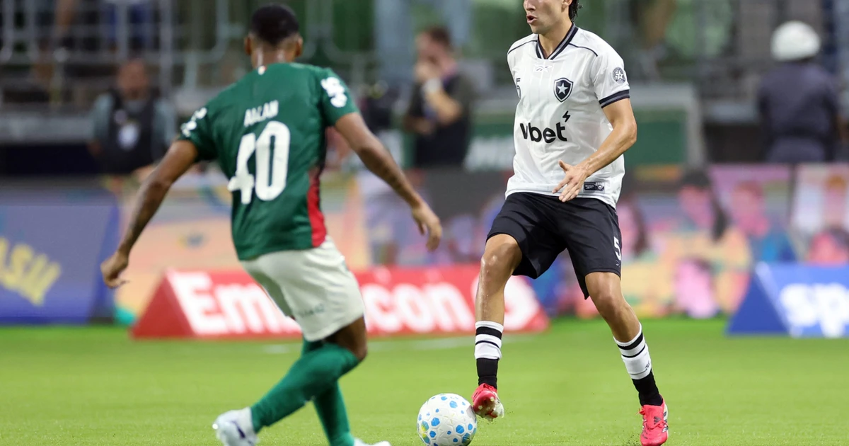 Botafogo busca reação imediata diante do Palmeiras no Nilton Santos