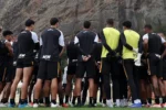 Botafogo define meta de 45 pontos e busca vaga internacional para viabilizar investimentos