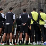 Botafogo define meta de 45 pontos e busca vaga internacional para viabilizar investimentos