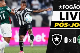 Botafogo e Palmeiras empatam sem gols em duelo equilibrado pelo Brasileirão