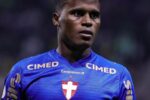 Botafogo e Palmeiras medem forças no Nilton Santos pelo Brasileirão