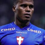 Botafogo e Palmeiras medem forças no Nilton Santos pelo Brasileirão