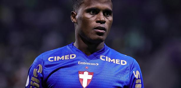 Botafogo e Palmeiras medem forças no Nilton Santos pelo Brasileirão