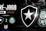 Botafogo e Palmeiras se enfrentam em duelo decisivo pelo Campeonato Brasileiro