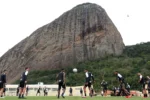 Botafogo encerra busca por reforços e mantém elenco atual para a temporada