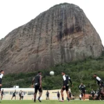 Botafogo encerra busca por reforços e mantém elenco atual para a temporada
