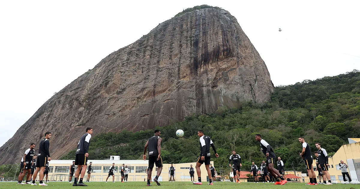 Botafogo encerra busca por reforços e mantém elenco atual para a temporada