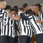 Botafogo encerra janela de transferências e foca na classificação para a Libertadores