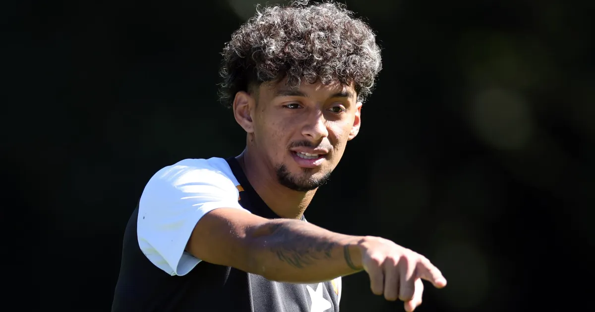 Botafogo ganha reforços de Cristian Medina e Matheus Martins para enfrentar o Mirassol