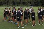 Botafogo intensifica busca por reforço ofensivo com perfil de articulador