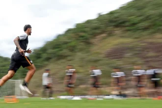 Botafogo intensifica busca por técnico experiente para projeto de longo prazo