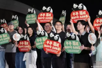 China envia pandas gigantes aos Estados Unidos em gesto de diplomacia