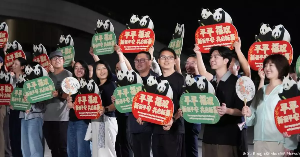 China envia pandas gigantes aos Estados Unidos em gesto de diplomacia